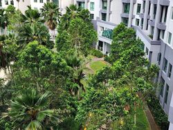 Signature Park (D21), Condominium #566105021